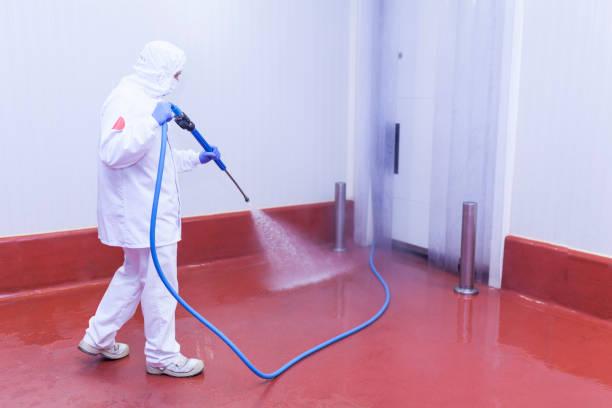 Pre-Holiday Cleaning in West Bay Shore, NY